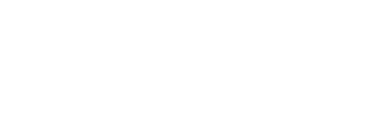 Codename Basavanagudi